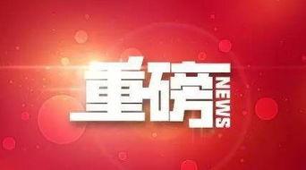 枣庄教师爆料最新消息,揭秘教育行业最新动态与挑战