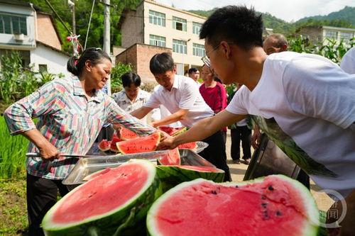 西瓜节吃瓜的视频,一场视觉与味蕾的双重盛宴