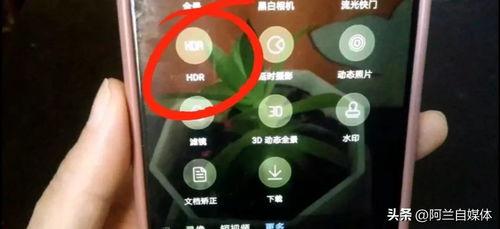 头条怎么拍照片更清晰,头条摄影清晰度提升攻略